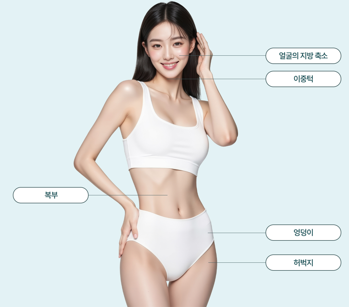 지방분해 시술부위 — 얼굴의 지방 축소, 이중턱, 복부, 엉덩이, 허벅지