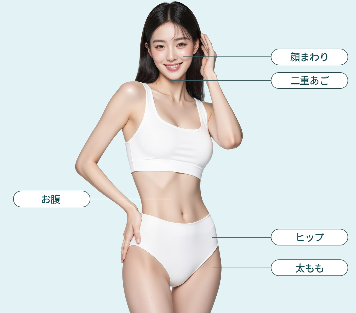지방분해 시술부위 — 얼굴의 지방 축소, 이중턱, 복부, 엉덩이, 허벅지